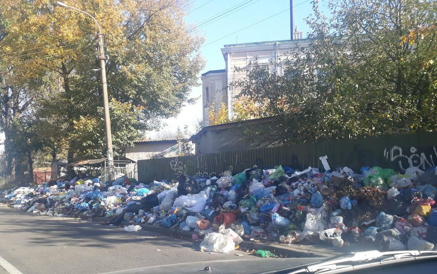 Дрогобич потопає у смітті