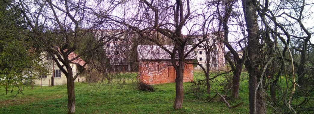 Ольга Сорока: Але господаря в районі немає…