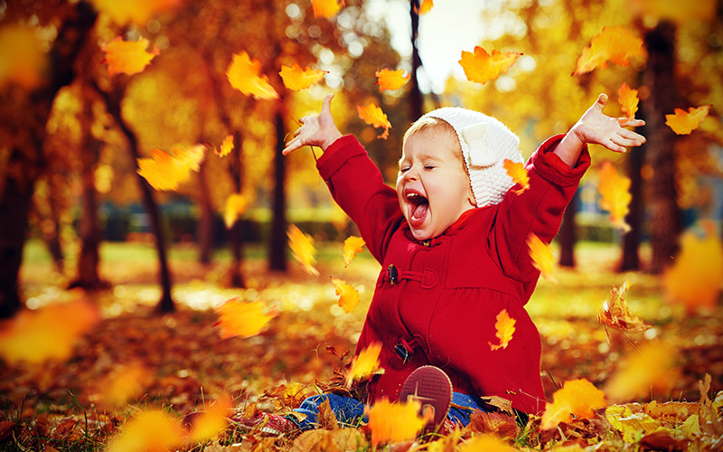 На Львівщину повертається тепло