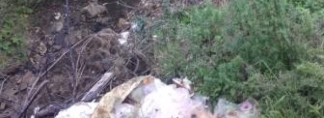Сміття на березі річки: на Старосамбірщині виявили стихійне сміттєзвалище