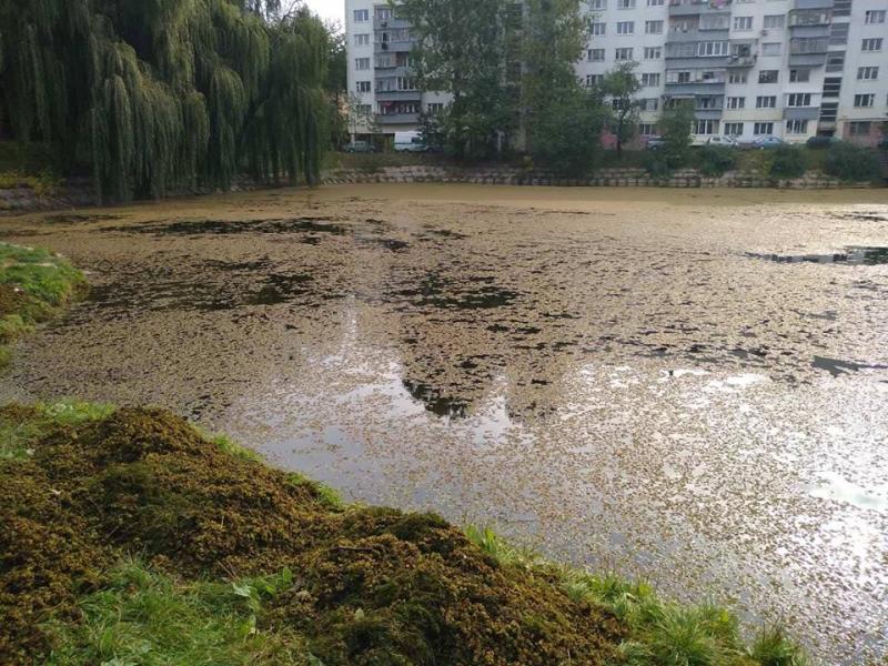 Брудне повітря, брудна вода – у Львові провели експертизу