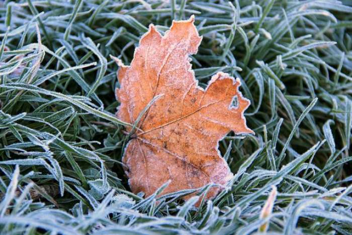Тепло, але із заморозками