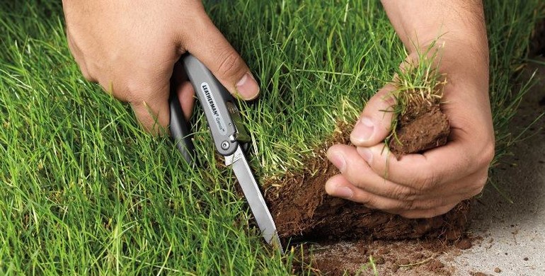 На Турківщині сільський голова віддав землю, що належить державі