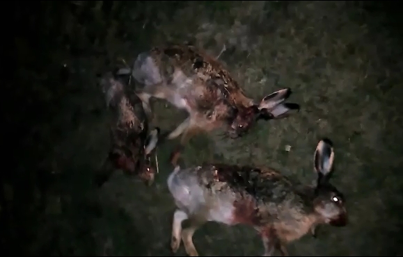 На Жовківщині на гарячому затримали браконьєрів