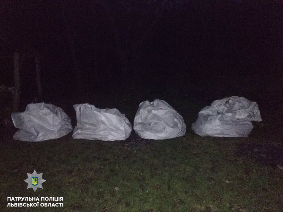 У Львові з парку намагались вивезти каміння