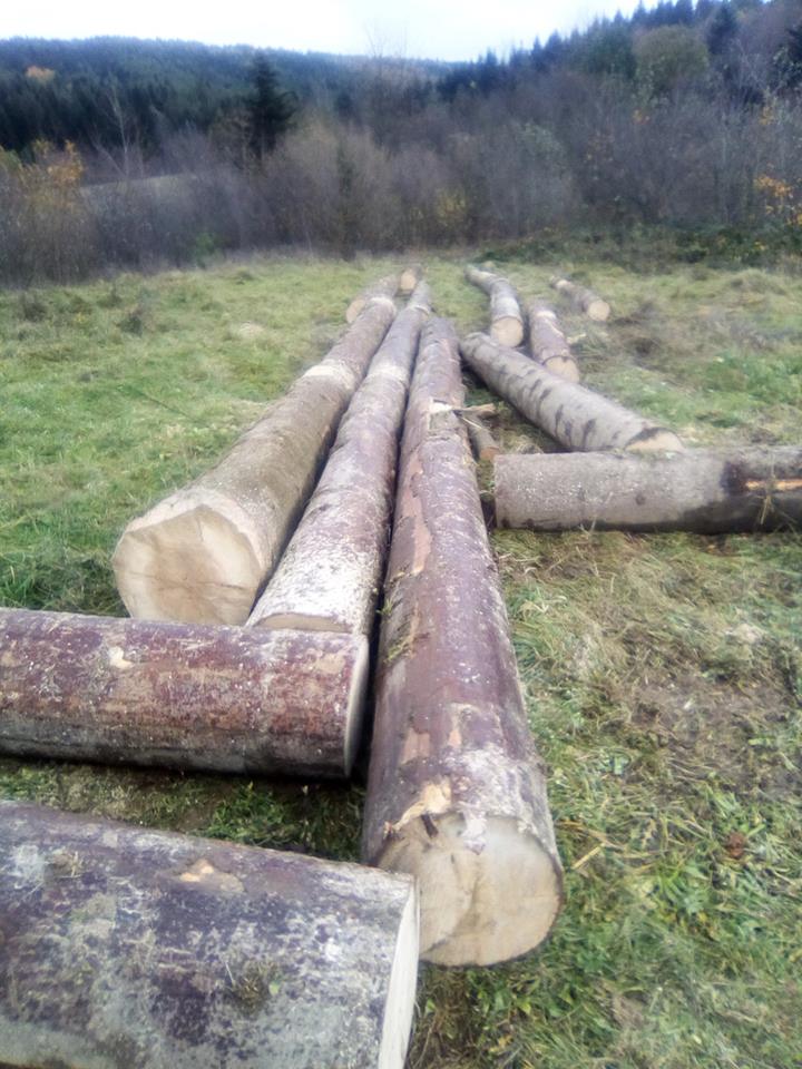 На Старосамбірщині місцеві мешканці обурені діями лісників