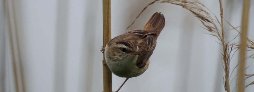Юрій Гамар: “Крізь об`єктив світ бачиш інакшим”