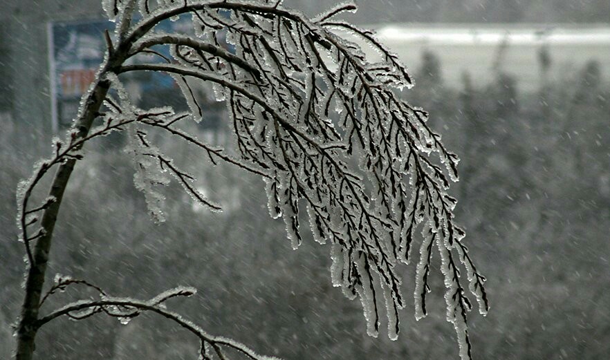 Ожеледиця на дорогах Львівщини