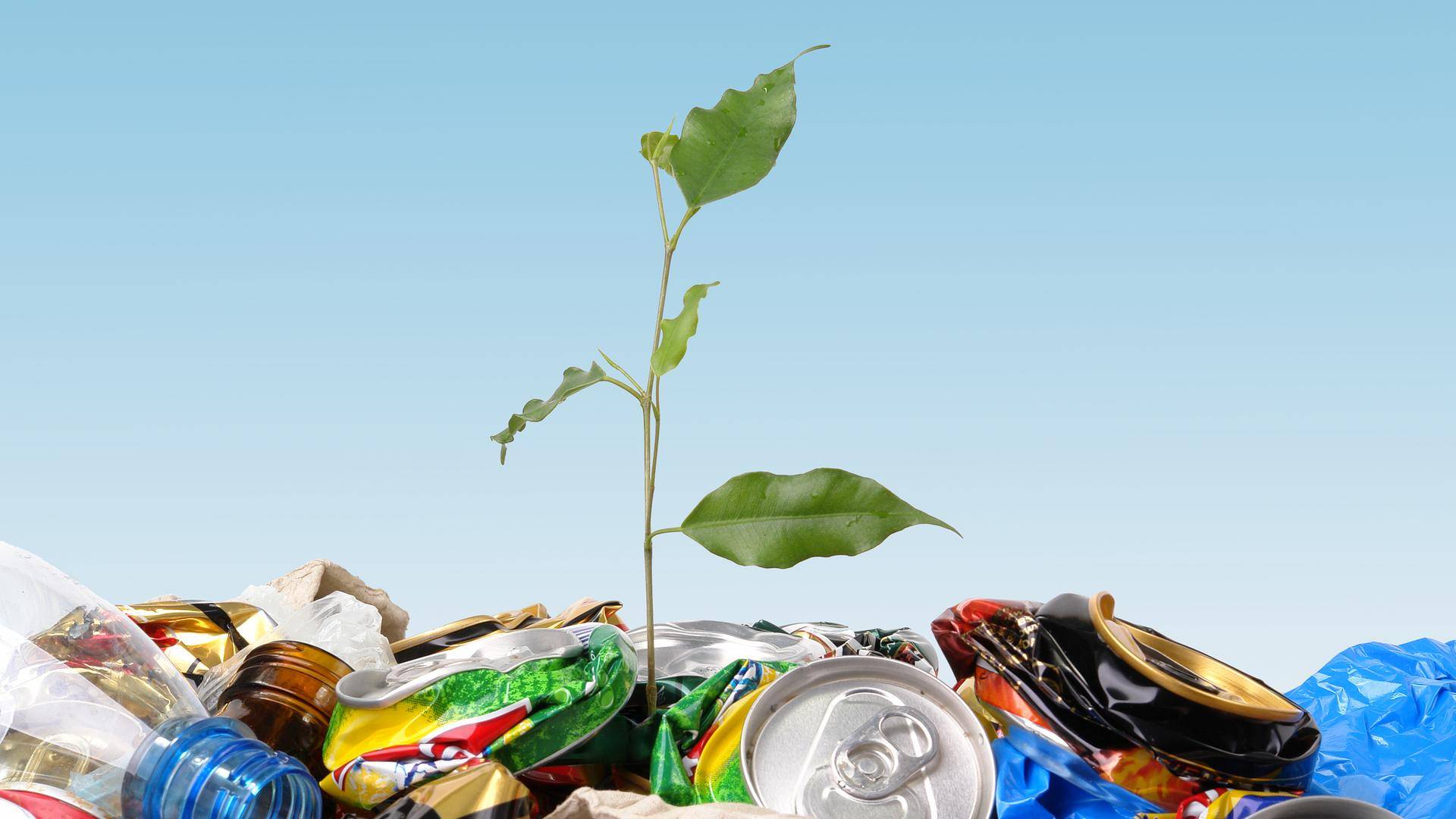 Львів перейде на нову систему поводження з відходами