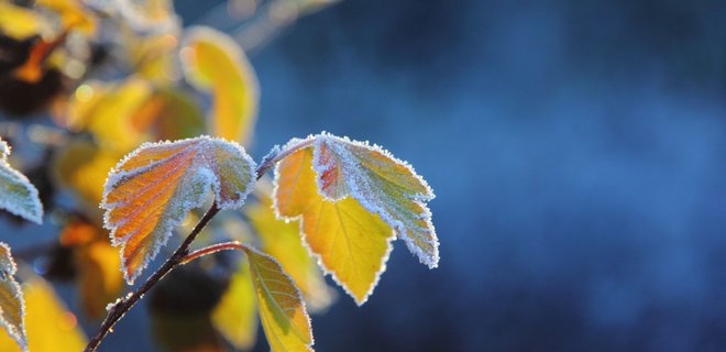 З понеділка прийдуть холоди