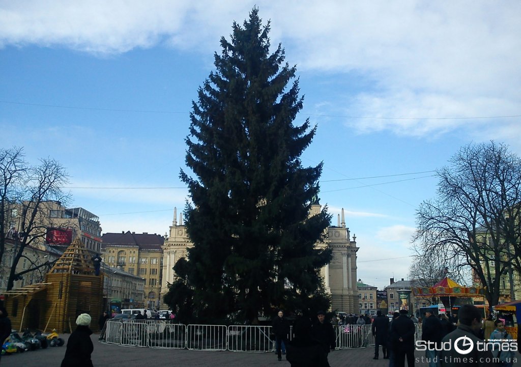 Головну ялинку Львову подарували господарі з Яворівщини