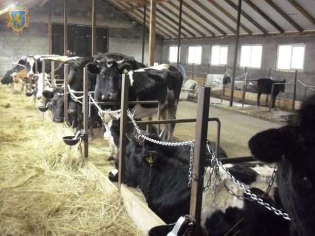 У Самбірському районі відкрили сімейну ферму