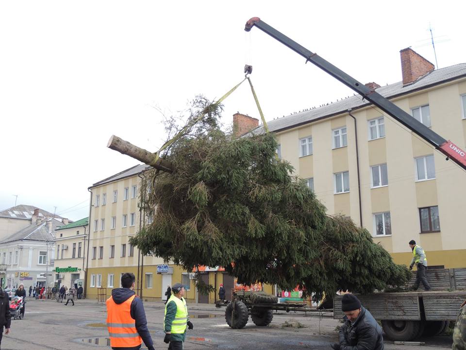 У деяких райцентрах на Львівщині вже стоять новорічні ялинки