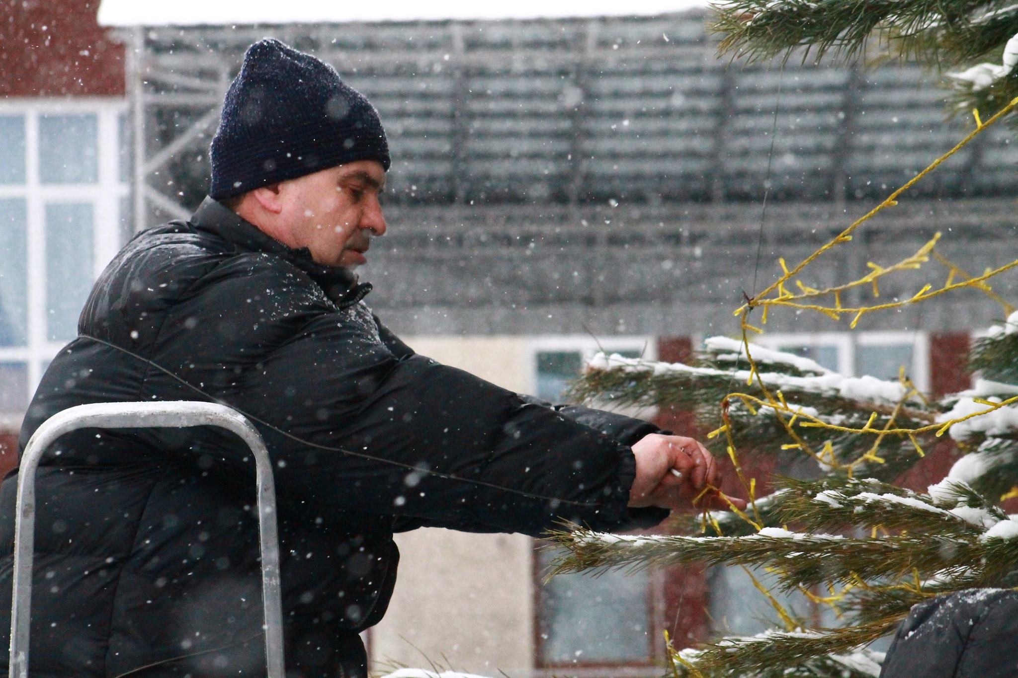 У Червонограді збиткуються над новорічною ялинкою