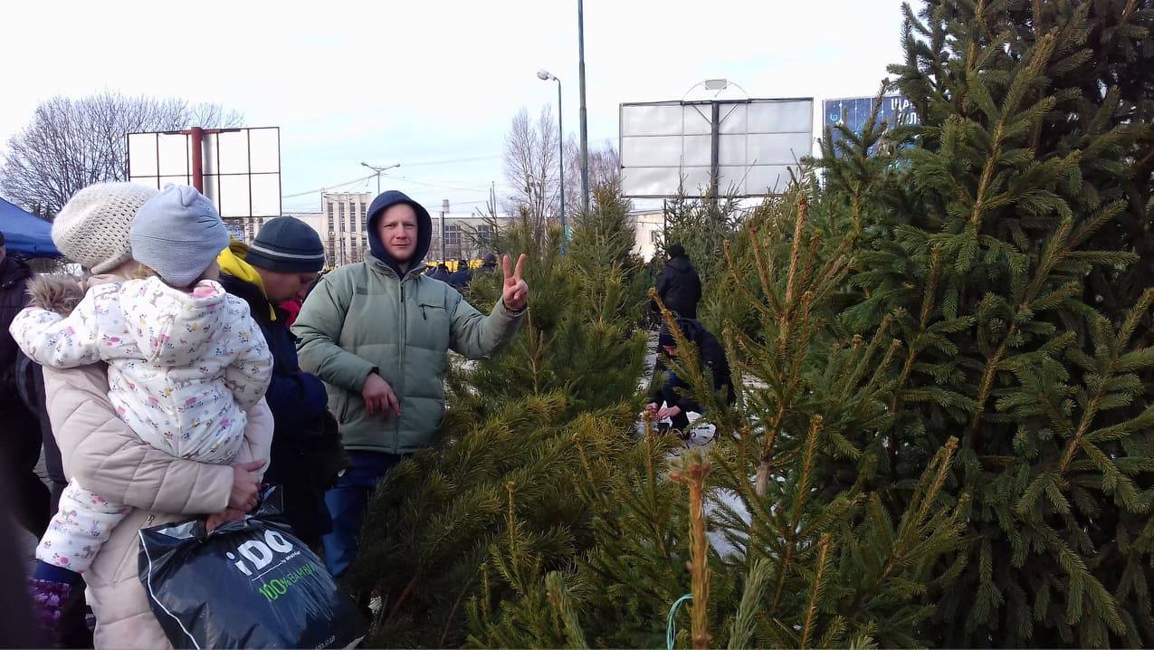 «Мода на живі деревця, як і на натуральні шуби, проходить», – за скільки у Львові можна придбати ялинку