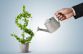 З війни – в аграрний сектор: ветерани АТО на Львівщині пішли у бізнес