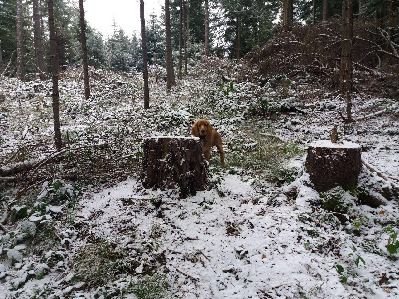 Комунальне підприємство обласної ради завдало державі збитку на понад 2 мільйони гривень