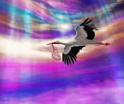 Цього року на Львівщині народилися Орхідея та Тамерлан