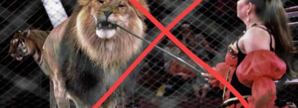 Ольга Сорока: «Мінприроди щось не те запропонувало…»