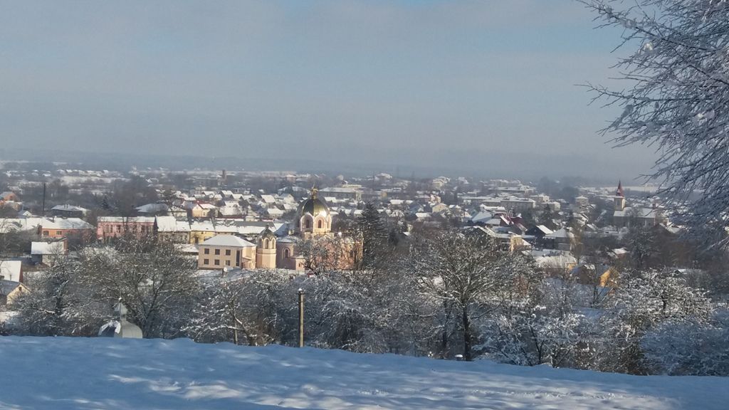 Мешканці Судової Вишні мітингують у міській раді