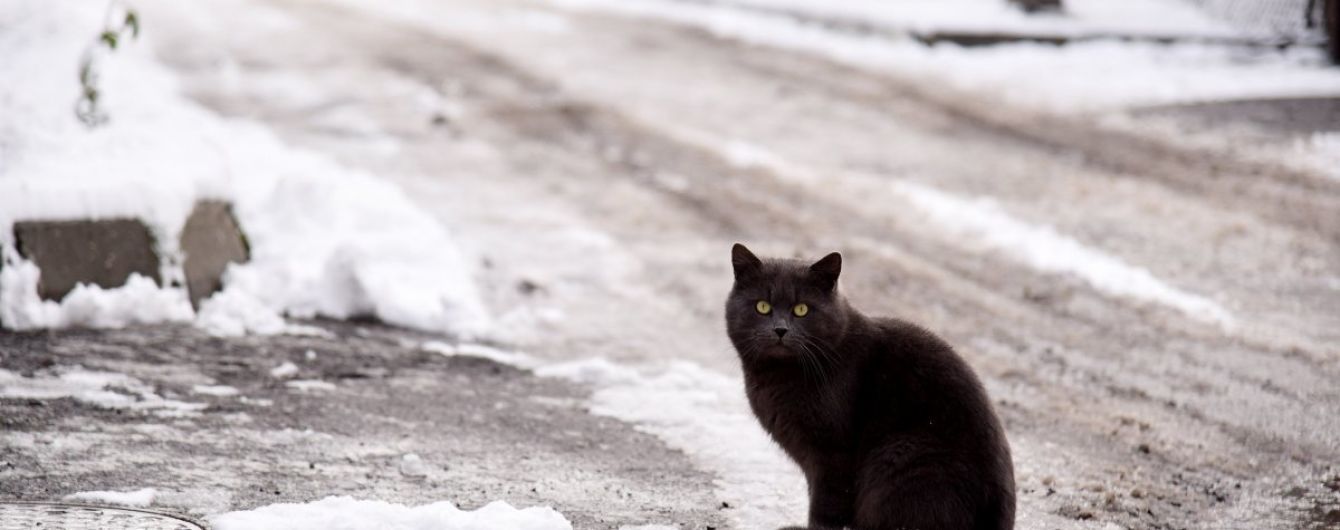 Протягом 9-11 січня на дорогах Львівщини збережеться ожеледиця та мороз