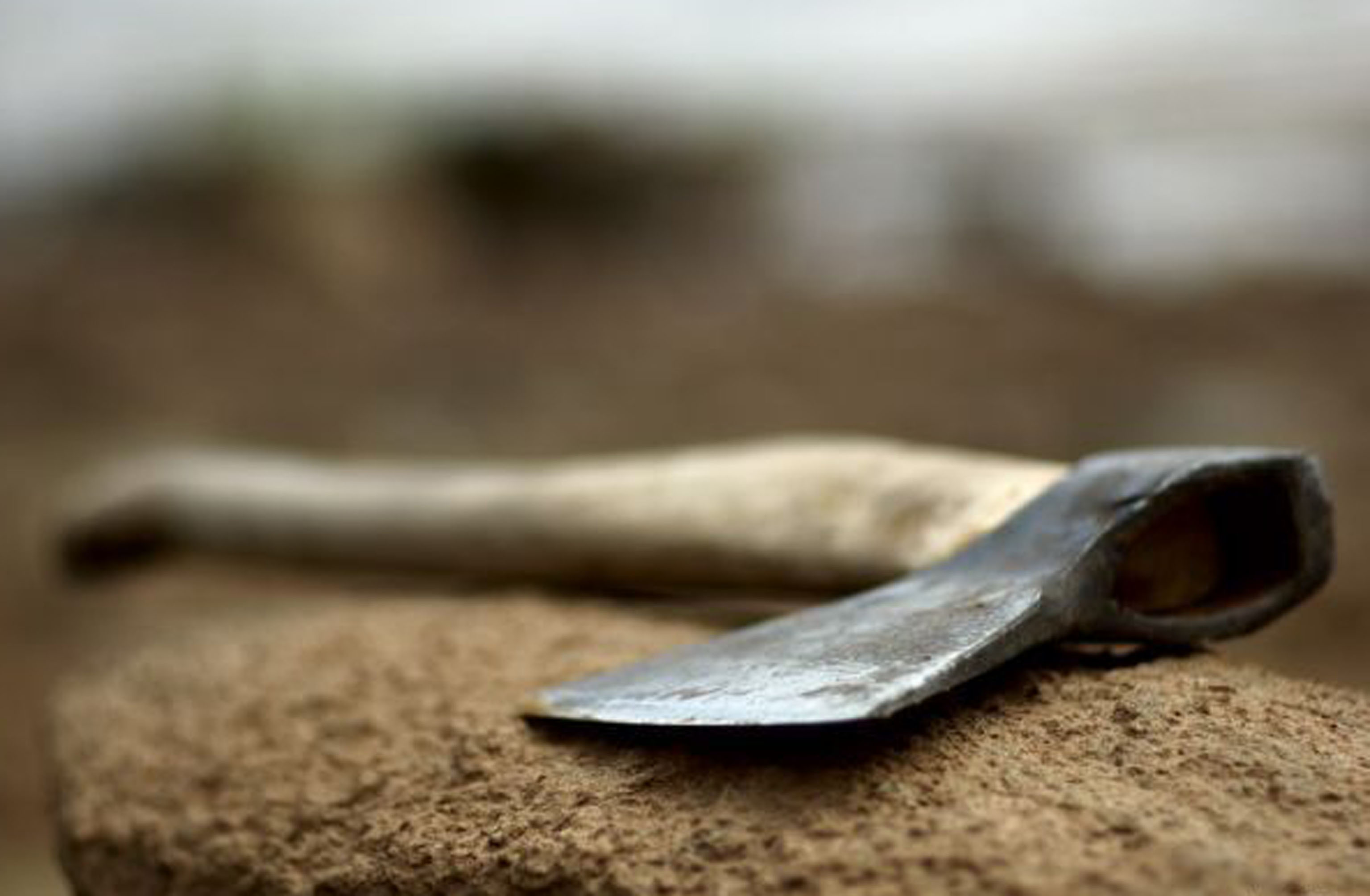 На Стрийщині чоловік зарубав дружину та покінчив життя самогубством