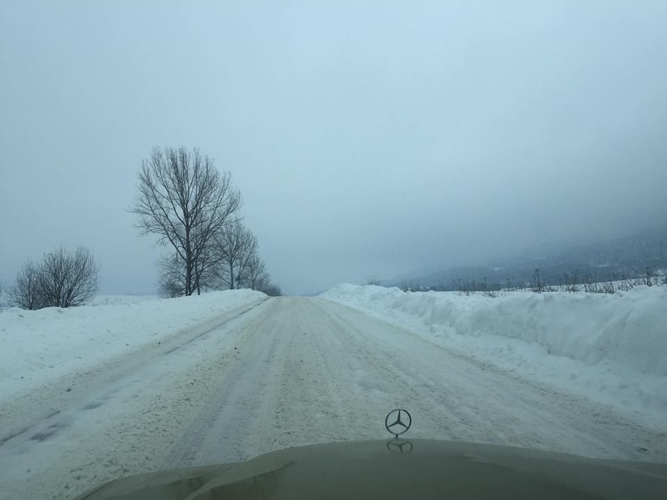 Турку засипало снігом