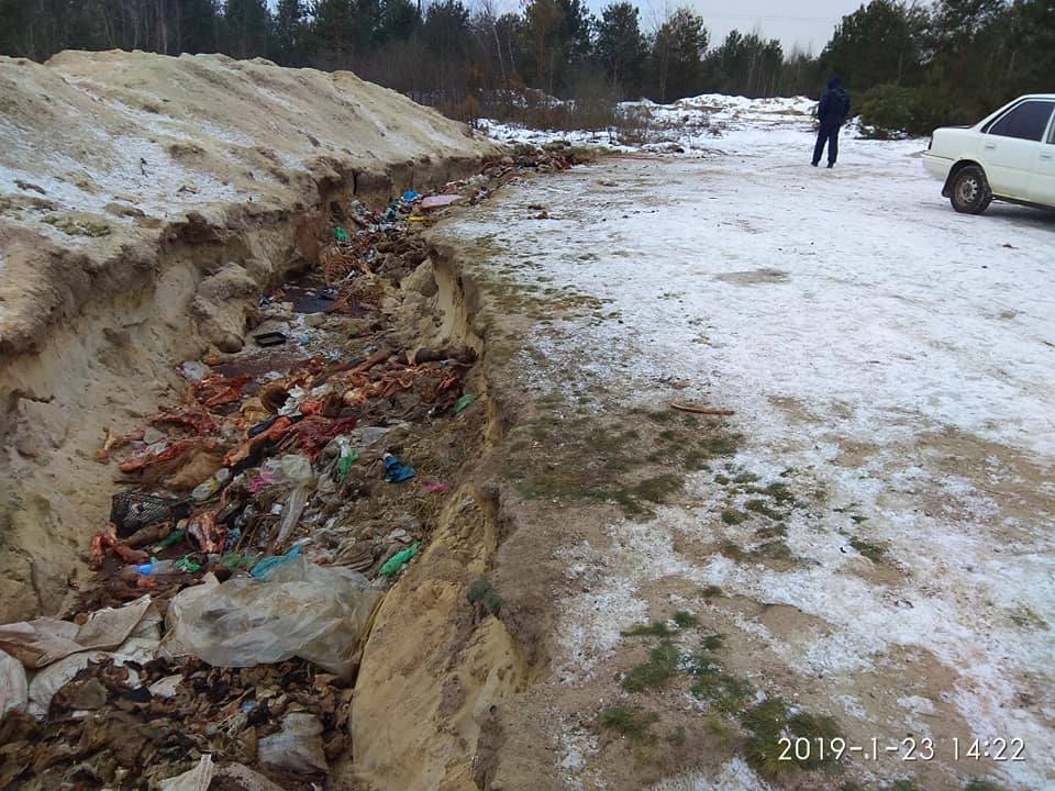 Кров та ратиці: мешканці села Боянець викидають рештки тварин просто біля річки(Фото 18+)