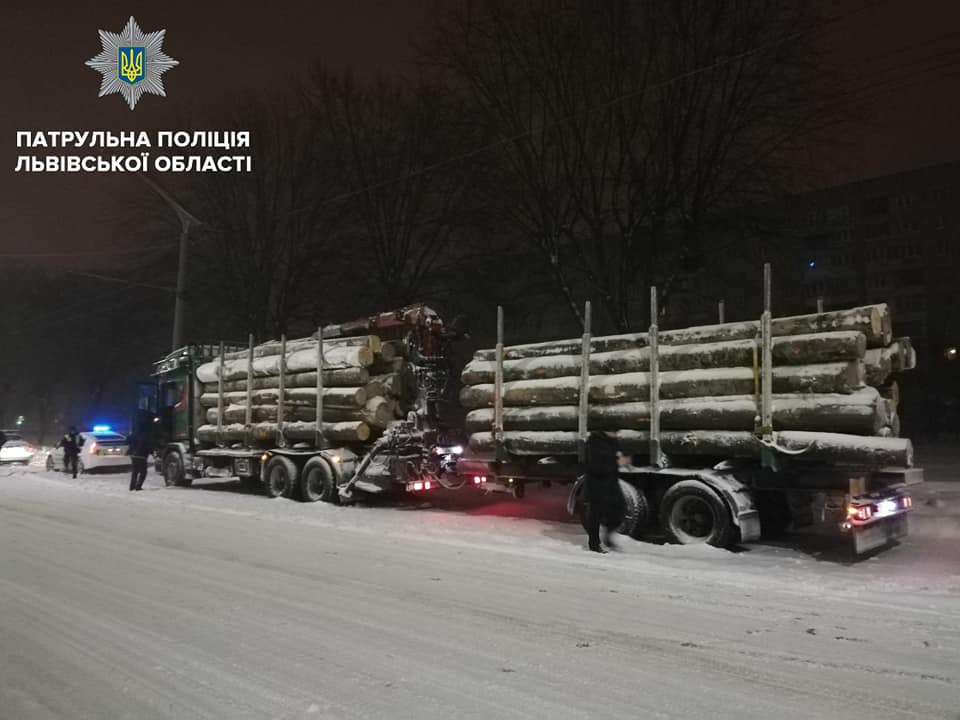У Львові виявили дві вантажівки з буком без документів