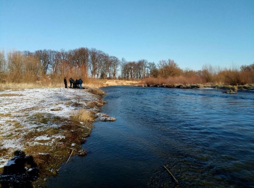 В самбірському Дністрі знайшли тіло потопельника