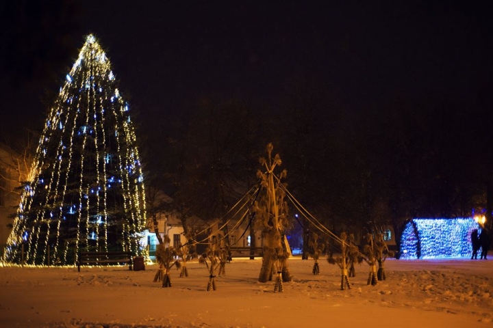 Яворівська площа Ринок прикрашена дідухами та шопкою