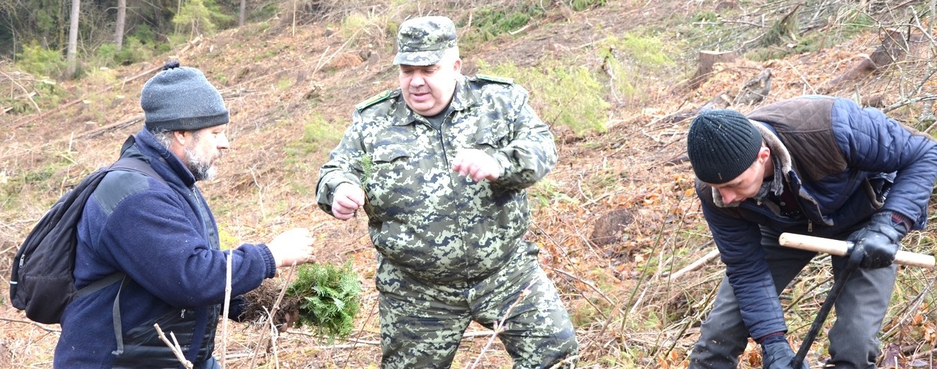 За незаконну вирубку лісу депутата Турківської райради оштрафували на 5,2 млн гривень