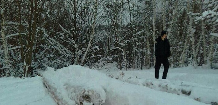 «Шукай місце на цвинтарі», – крадій лісу погрожував депутатові сільради