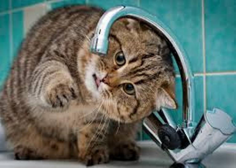 У Самборі запрацювало цілодобове водопостачання