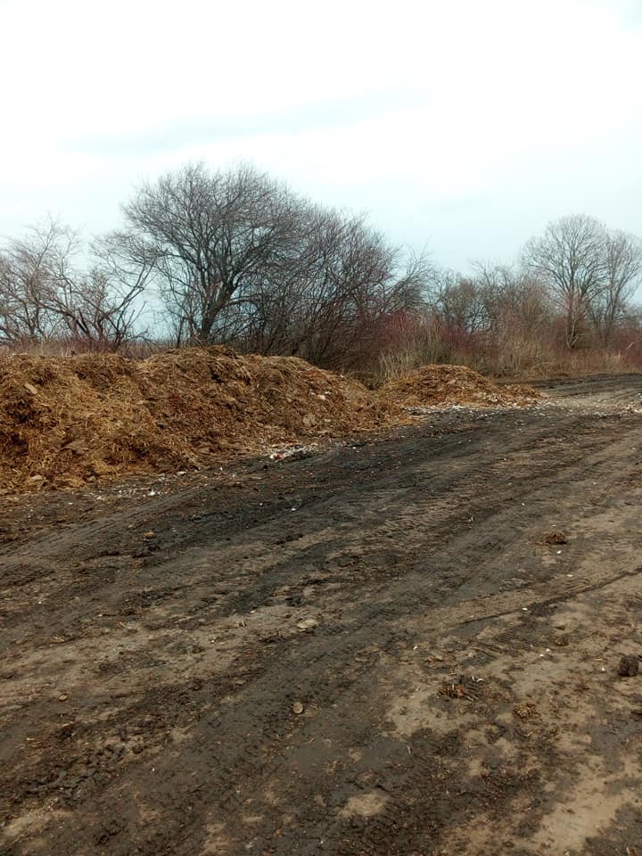 Мешканці села на Городоччині потерпають від курячого посліду