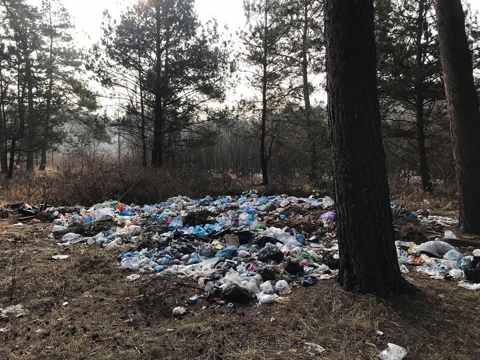 Біля Новояворівська ліс перетворюють на стихійне звалище