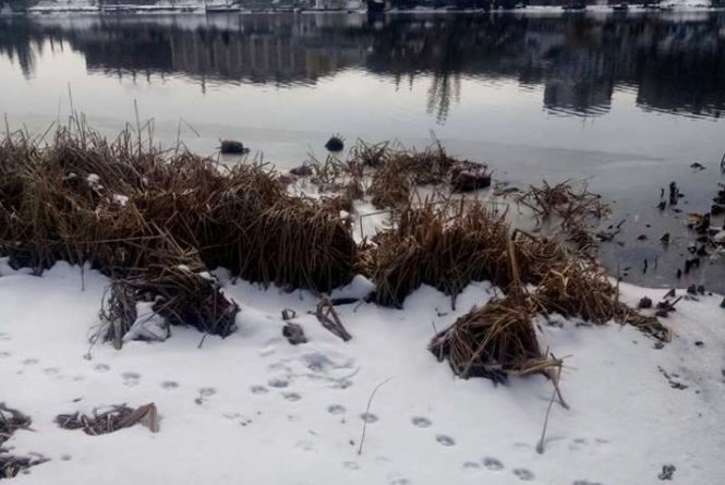 На Сколівщині під мостом знайшли міну