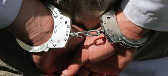 Мостиські прикордонники затримали латвійця, який грабував у Чехії