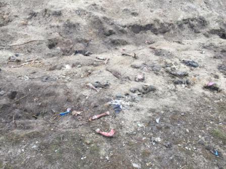 Сільського голову на Жовківщині оштрафували через захоронення тваринних решток