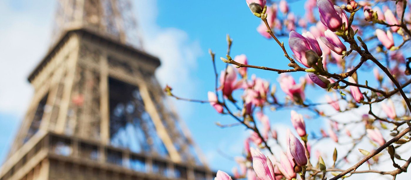 У Львові понад місяць триватиме фестиваль “Французька весна”. Найцікавіше з програми