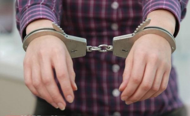 Няня із Жовківщини обікрала свого роботодавця