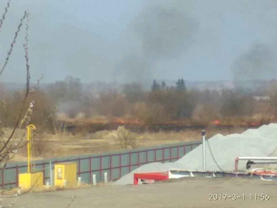 «У Самборі поліцейські не відреагували на повідомлення про паліїв», – кажуть очевидці