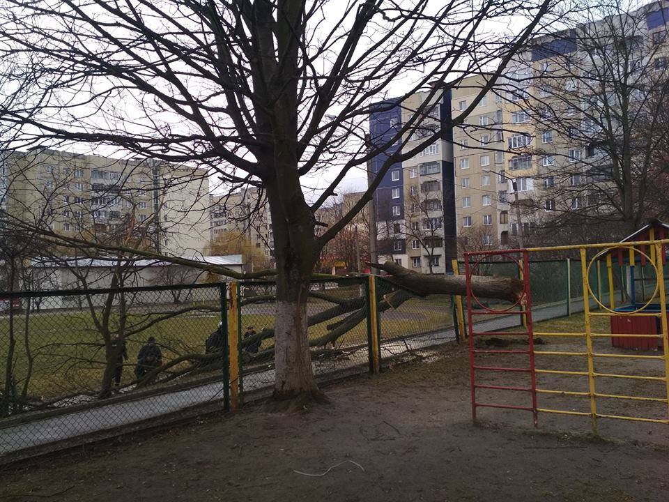 На Львівщині не вщухає сильний вітер