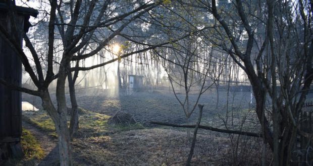 На Сокальщині через підпал сухої трави згоріло 9 будинків