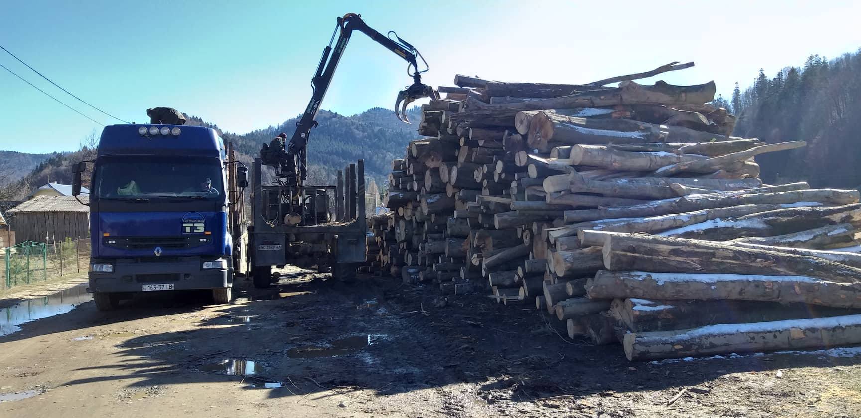 На Дрогобиччині рубають ліс у природоохоронній зоні (ВІДЕО)