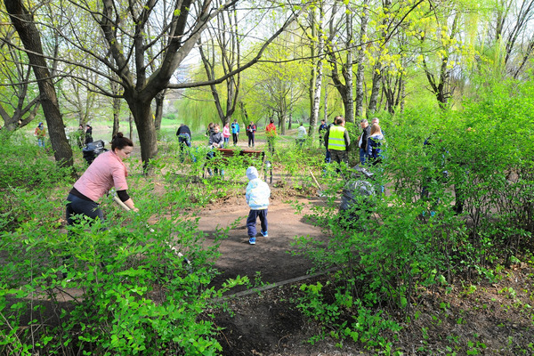 Наступної суботи, до Дня довкілля, на Львівщині відбудеться загальнообласна толока