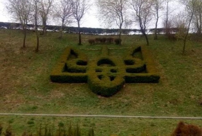 Рослинний тризуб вирощували кілька років: на Сколівщині встановили рекорд