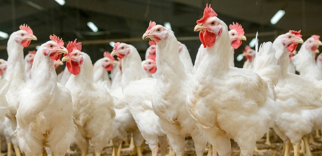 На Бущині оштрафували підприємство на 750 тис. грн