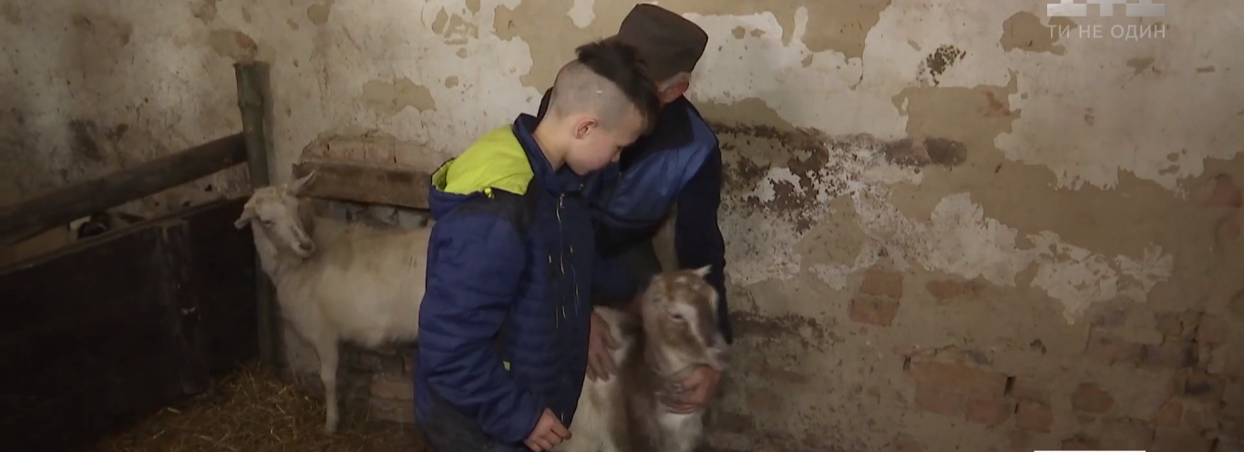 У Краковці для дітей з особливими потребами створили дитячу міні-ферму