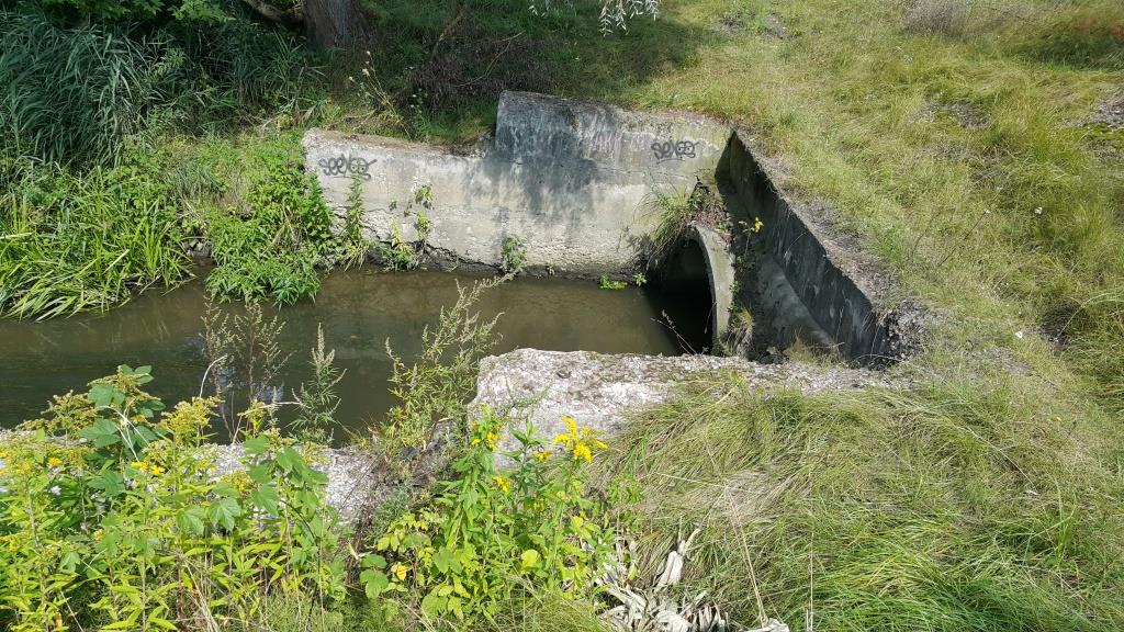 На Бущині втопився 26-річний Юрій Боярський